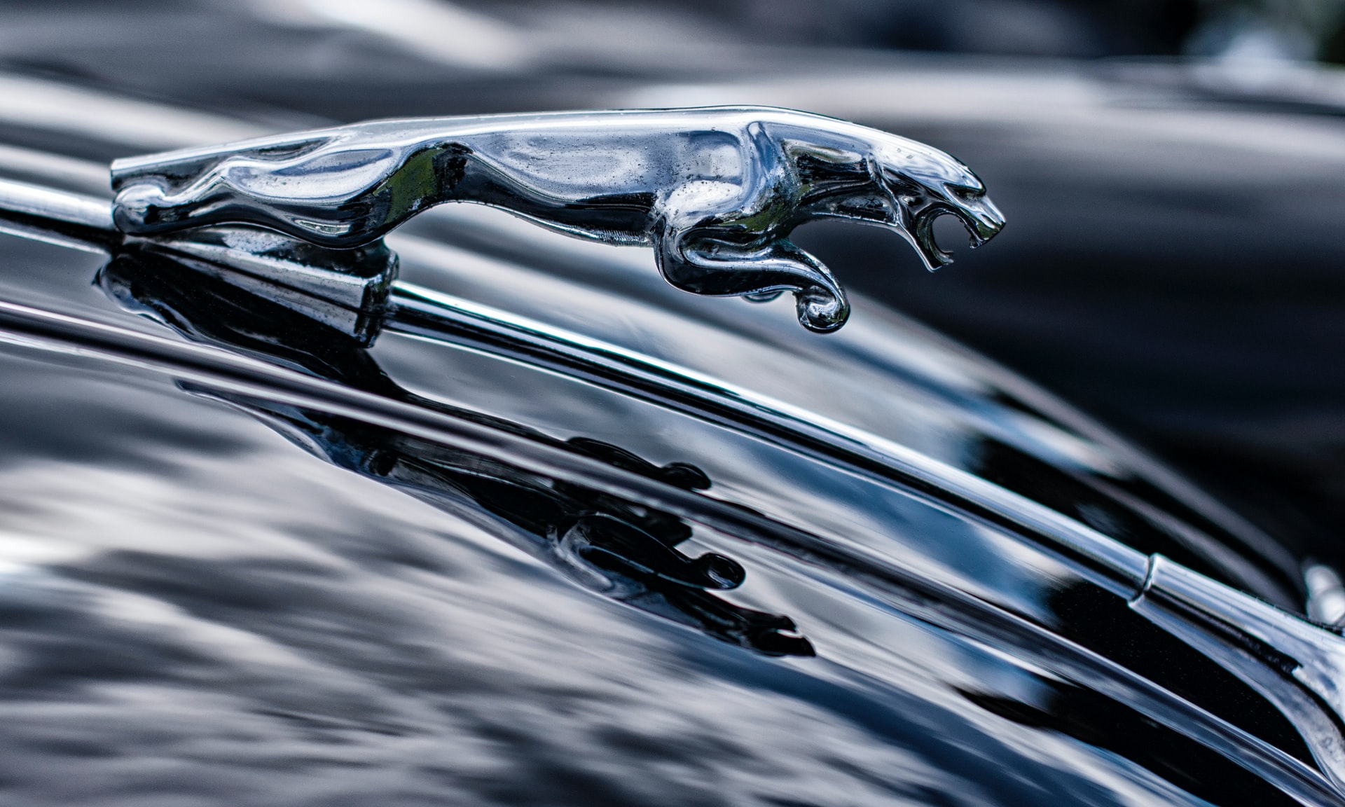 Jaguar F-Pace R-Dynamic Black Arrives Adding Black Styling To Crossover